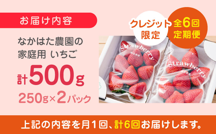 【先行予約】【全6回定期便】 いちご 食べ比べセット 総計3.0kg ( 250g × 2P × 6回 ) 農園直送 産地直送 熊本県産 山都町産【なかはた農園】[YBI014] 