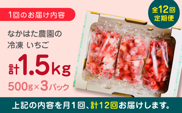 【全12回定期便】【数量限定】熊本県産 冷凍イチゴ 計1.5kg ( 500g × 3P ) 山都町産 産地直送【なかはた農園】[YBI020] 