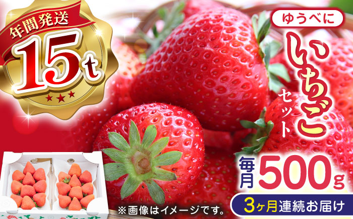 【先行予約】【全3回定期便】熊本県産 ゆうべに いちご  セット 250g×2P 農園直送 産地直送 山都町産【なかはた農園】[YBI045]