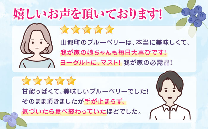 冷凍ブルーベリー 計1.2kg ( 400g × 3パック ) 熊本県産 山都町産 ブルーベリー フルーツ スムージー 果物 小分け 国産【清和の恵み工房】[YAA003] 10000 10,000 10000円 10,000円 1万円
