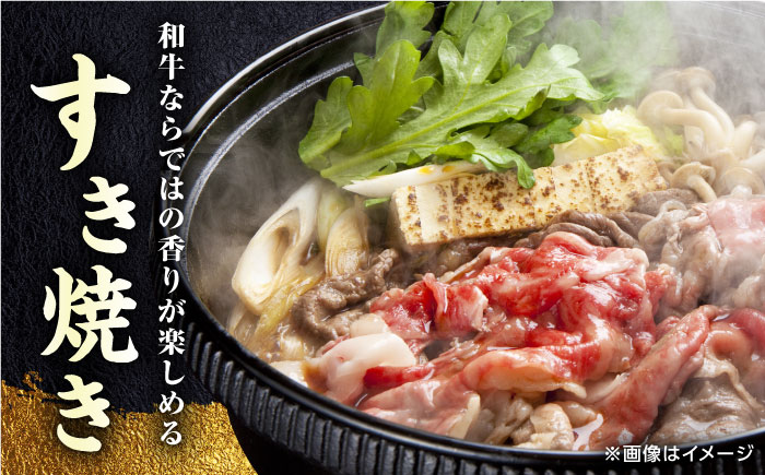 【全6回定期便】熊本県産 くまもと黒毛和牛 あか牛 ミックス 切り落とし 500g 牛肉【熊本県畜産農業協同組合】 [YAD017]