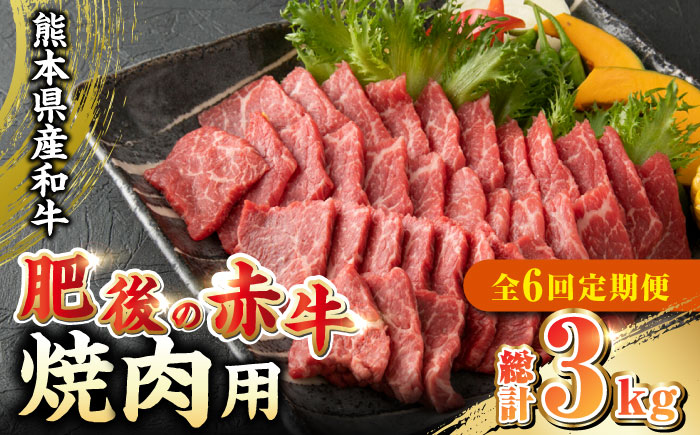 【全6回定期便】 肥後の赤牛 焼肉用 500g やきにく 焼き肉 贅沢 熊本 赤牛 褐牛 あかうし 褐毛和種 肥後 冷凍 国産 牛肉【やまのや】[YDF014]