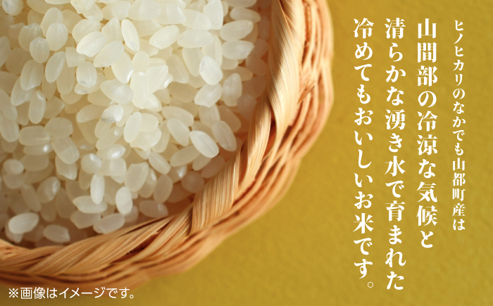 【限定数量】令和6年産 新米 熊本県 山都町産 ひのひかり 計10kg(5kg×2) こめ 【株式会社 米久】[YDB001]