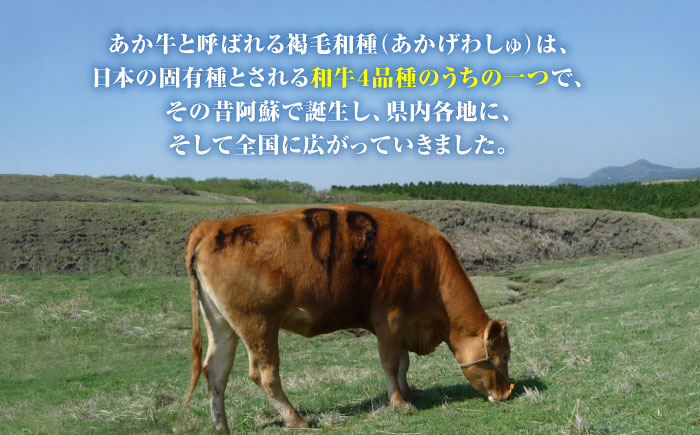 熊本県産 あか牛 焼肉用 肩ロース 500g やきにく 焼き肉 贅沢 熊本 赤牛 褐牛 あかうし 褐毛和種 肥後 冷凍 国産 牛肉【熊本県畜産農業協同組合】[YAD012] 