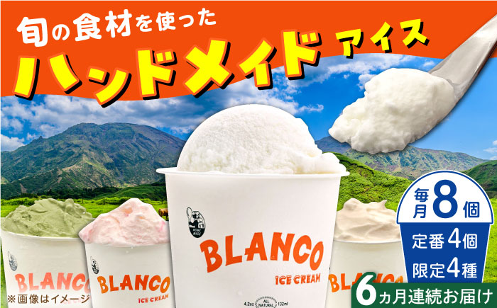 【全6回定期便】ハンドメイドアイスクリーム 6種 食べ比べ  8個セット 詰め合わせ アイスクリーム 熊本 山都町 アイス【BLANCO ICE CREAM】[YCM007] 
