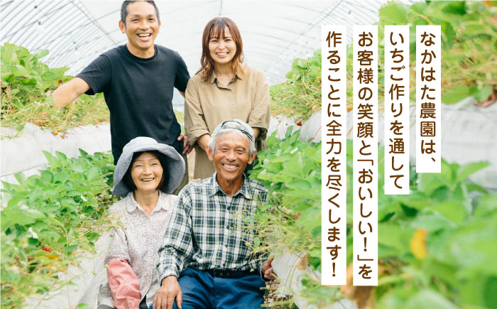 【全3回定期便】なかはた農園の苺クレープ 10本 山都町産 熊本県産【なかはた農園】 アイス おやつ おかし スイーツ デザート いちご イチゴ [YBI053]