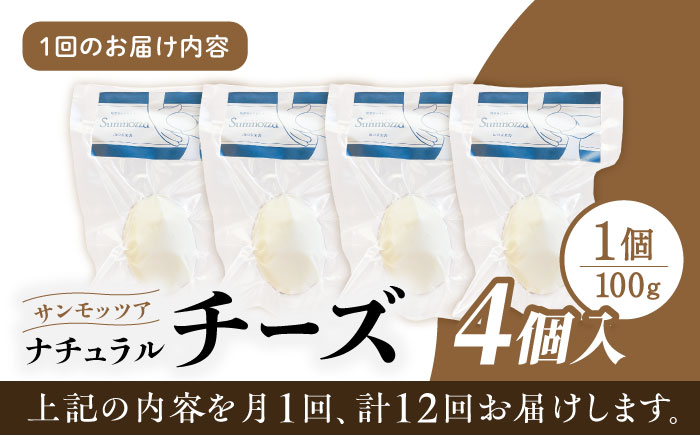 【全12回定期便】自家製 ナチュラルチーズ サンモッツア 4個 ( 100g × 4個 ) / チーズ モッツァレラチーズ  乳製品 熊本 山都町【山の未来舎】[YBV024] 