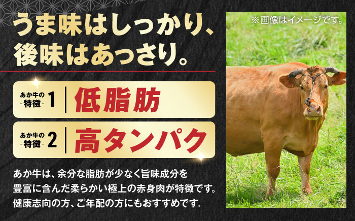 【【年間25万個販売！】】熊本県産 くまモン あか牛 ハンバーグ 120g×6個 セット 日本ギフト大賞 熊本 赤牛 ギフト 贈答 プレゼント 褐牛 あかうし 褐毛和種 肥後 冷凍 国産 牛肉【有限会社 三協畜産】[YCG036]