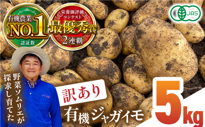 [数量限定][訳あり]有機ジャガイモ規格外品 山都町 熊本県産 有機 じゃがいも 約5kg[グリーンファーム矢部] 