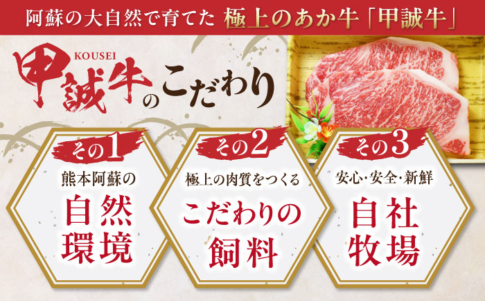 【全3回定期便】熊本県産 あか牛 サーロインステーキセット 計400g ( 200g × 2枚 ) 冷凍 専用タレ付き あか牛のたれ付き 熊本和牛【有限会社 三協畜産】[YCG062]