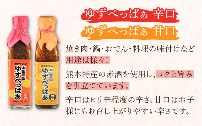 【全12回定期便】ゆずぺっぱぁ 辛口 甘口 200ml 各1本 柚子 熊本 山都町【本田農園】[YDL044] 120000 120,000 120000円 120,000円 12万円