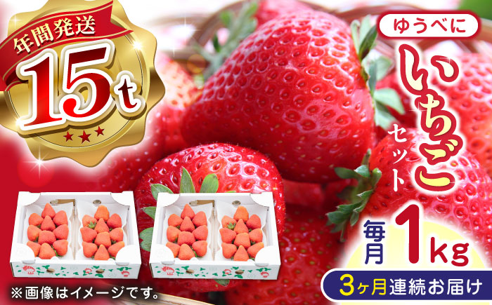 【全3回定期便】熊本県産 ゆうべに いちご セット 250g×4P 農園直送 産地直送 山都町産【なかはた農園】[YBI046] 