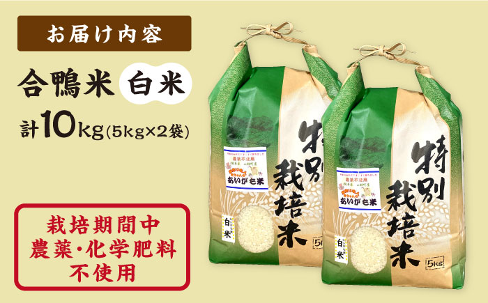 【先行予約】【令和6年産】合鴨米 白米 計10kg ( 5kg × 2袋 ) 米作り名人完ちゃんの合鴨米 栽培期間中農薬化学肥料不使用 熊本県産 [YCT001] 