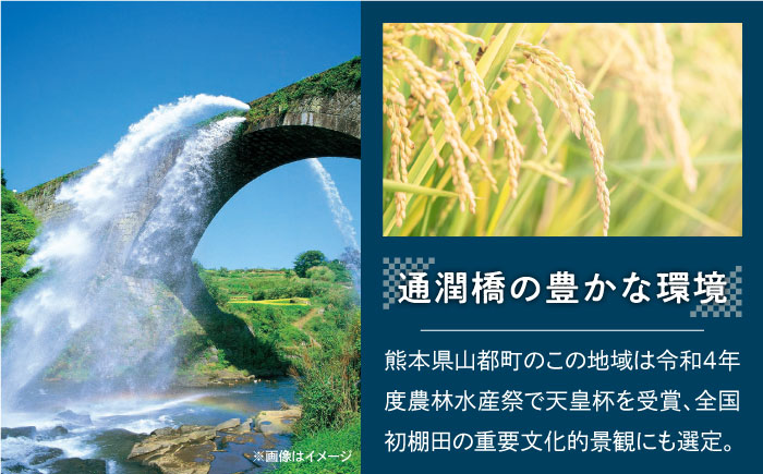 日常茶飯事 セット (お米・お茶・味噌の詰め合わせセット） 【株式会社やまと】 [YDO002]