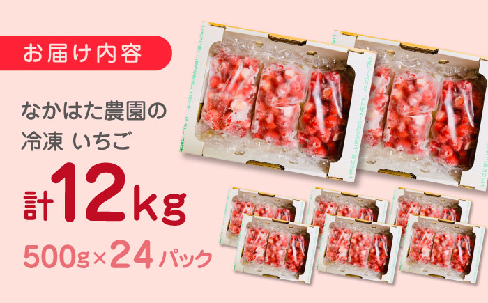 【数量限定】 冷凍 いちご 計12kg ( 500g × 24P ) 熊本県産 山都町産【なかはた農園】[YBI006] 