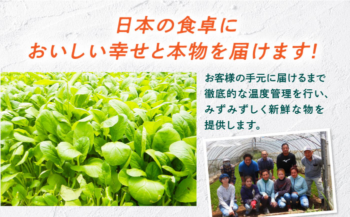 【全3回定期便】有機野菜 ベビーリーフ (200g×5パック) お米 2kg 計3kgセット 山都町産 産地直送 高原野菜 有機JAS認証取得【株式会社 清和ミネラル会】[YBT002]