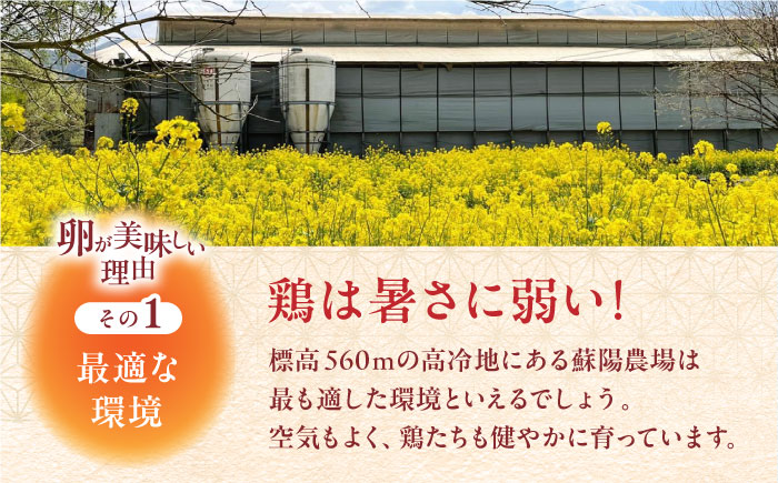 熊本県産 蘇陽の月 30個入り ( 10個入り × 3パック ) 山都町 たまご 卵【蘇陽農場】 [YBE017]