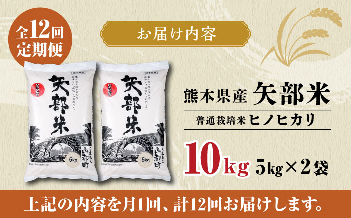 【全12回定期便】令和5年産  矢部米 普通栽培米 10kg (2kg×5袋) お米 白糸台地 熊本産 特別栽培米 定期便【一般社団法人 山都町観光協会】[YAB020] 208000 208,000 208000円 208,000円