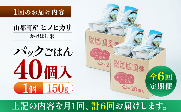 【全6回定期便】 【数量限定】いちょうの畑 パックご飯 ヒノヒカリ 150ｇ×40パック 【農事組合法人いちょう】 [YDN007]