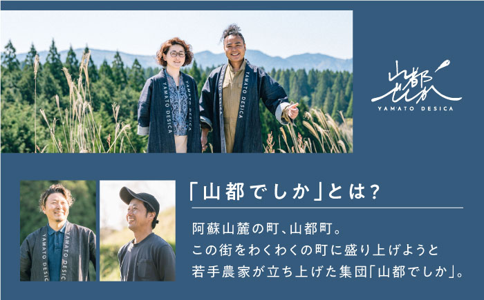 山都でしか 合鴨米 3kg 【株式会社 山都でしか】 [YBF005]