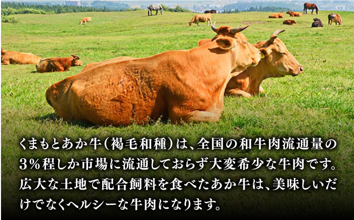 くまもとあか牛 すきやき用 400g GI認証 すき焼き すきやき しゃぶしゃぶ スライス あか牛 赤牛 褐牛 あかうし 褐毛和種 肥後 冷凍 国産 熊本県産 牛肉【有限会社 桜屋】[YBW051] 15000 15,000 15000円 15,000円