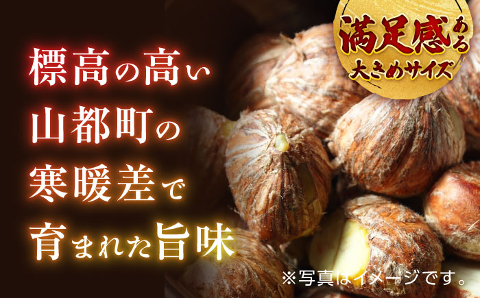 【9月より順次発送】【全2回定期便】新鮮　生栗 2kg【「のん気・元気」百姓家】 [YAL024]