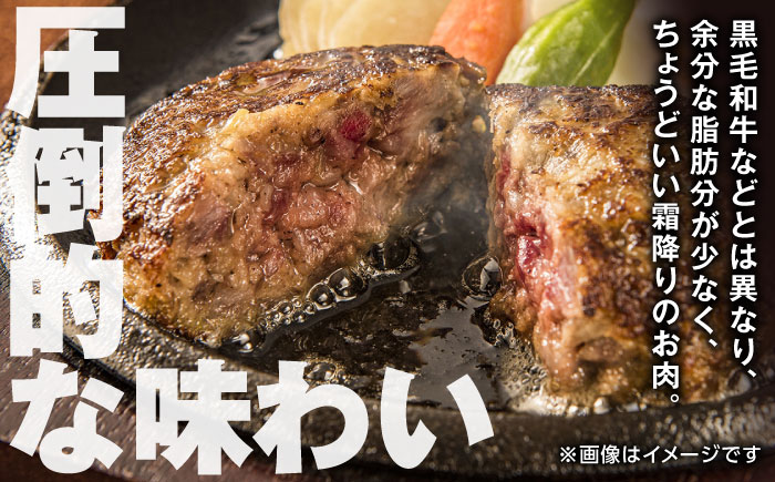 【全3回定期便】 肥後の赤牛 ハンバーグ 150g×10個 熊本 赤牛 ジューシー 褐牛 あかうし 褐毛和種 肥後 冷凍 国産 牛肉【やまのや】[YDF011] 