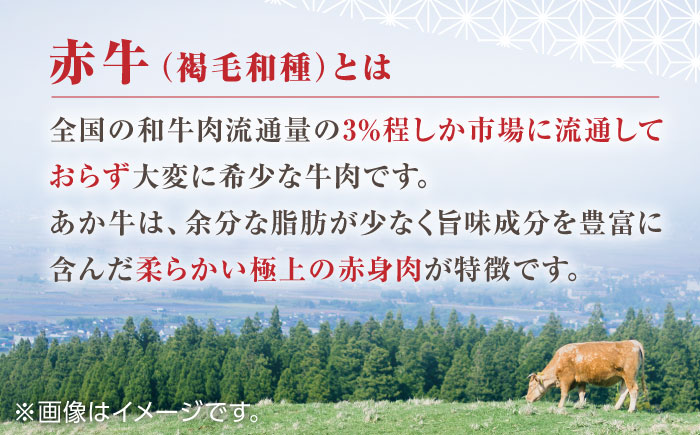 熊本県産 あか牛 ぎょうざ 20個×2箱 熊本 赤牛 褐牛 あかうし 褐毛和種 肥後 冷凍 国産 牛肉【有限会社 三協畜産】[YCG043] 