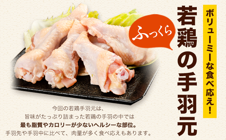 熊本県産 若鶏手羽元 約4kg 2kg×2P 《30日以内に出荷予定(土日祝除く)》