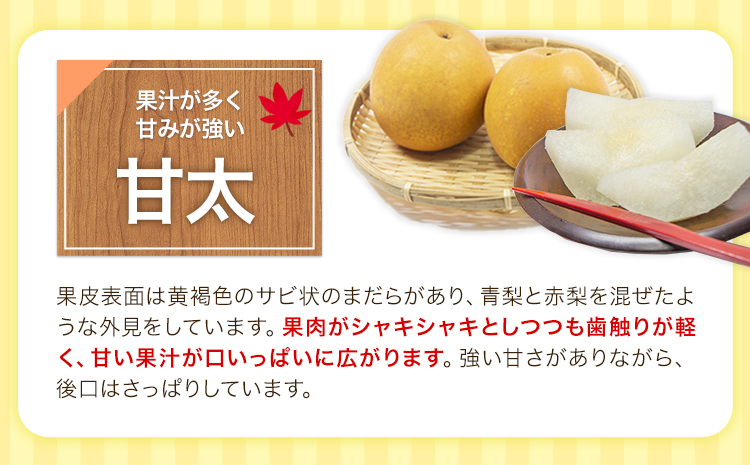 熊本県氷川町産 鋤先梨農園の梨 約5kg 鋤先梨農園 《8月下旬-10月中旬頃出荷》 熊本県 氷川町 あきづき 甘太 新高 新興 旬