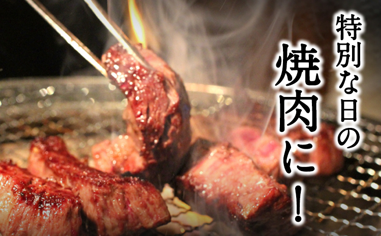 あか牛Cセット サーロインステーキ 180g×5枚 ロース 焼肉用 1kg 肩もしくはももスライス 1kg《30日以内に出荷予定(土日祝除く)》熊本県 氷川町 肉 牛 牛肉 株式会社有佐スーパー