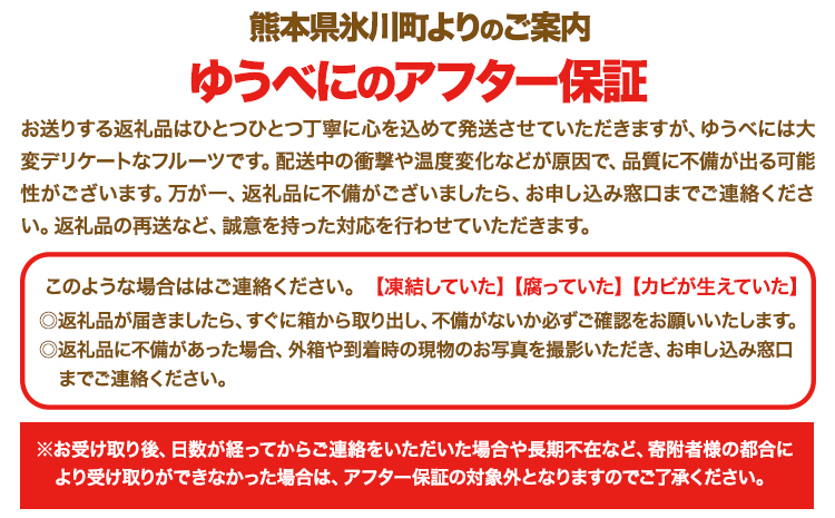 【3ヶ月定期便】先行予約 いちご 苺 ゆうべに 約1500g  約250g×6パック 定期便 熊本 いちご 苺 イチゴ 熊本県 氷川町 ゆうべに いちご《1月中旬-3月末頃出荷》熊本県 氷川町 果物 フルーツ 先行 予約 アフター保証 ふるさと納税 いちご おすすめ