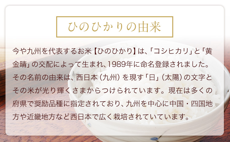 令和6年産 新米 早期先行予約受付中 ひのひかり 白米 18kg 《11月‐12月より出荷予定》 熊本県産 白米 精米 氷川町 ひの 送料無料 ヒノヒカリ コメ 便利 ブランド米 お米 おこめ 熊本 SDGs