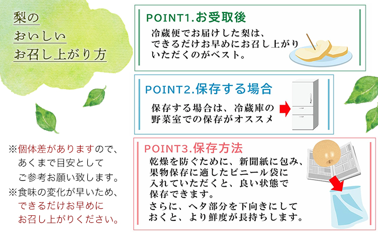 熊本県氷川町産 鋤先梨農園の梨 約5kg 鋤先梨農園 《8月下旬-10月中旬頃出荷》 熊本県 氷川町 あきづき 甘太 新高 新興 旬