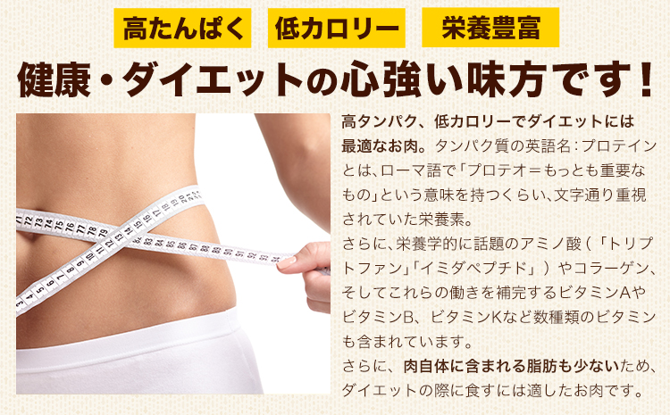 熊本県産 若鶏手羽元 約4kg 2kg×2P 《30日以内に出荷予定(土日祝除く)》