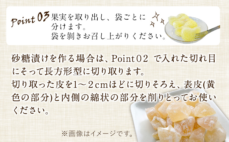 森田果樹園の晩白柚 2玉 森田果樹園《11月下旬-2月末頃出荷予定》果物 フルーツ サボン 熊本