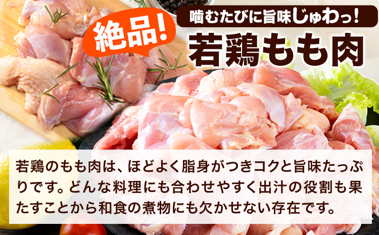 うまかチキン もも+むねハーフセット(計2種類) 合計10.23kg 3.41kg×3セット《1-5営業日以内に出荷予定(土日祝除く)》ふるさと納税 肉 とり とり肉 とりむね 鳥もも肉 小分けバック 鳥 とりもも 冷凍 定期 大容量 もも肉 簡易包装