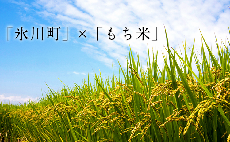 もち米焼酎「火の君浪漫」2本セット 720ml×2本 40度 《60日以内に出荷予定(土日祝除く)》 熊本県氷川町産 道の駅竜北