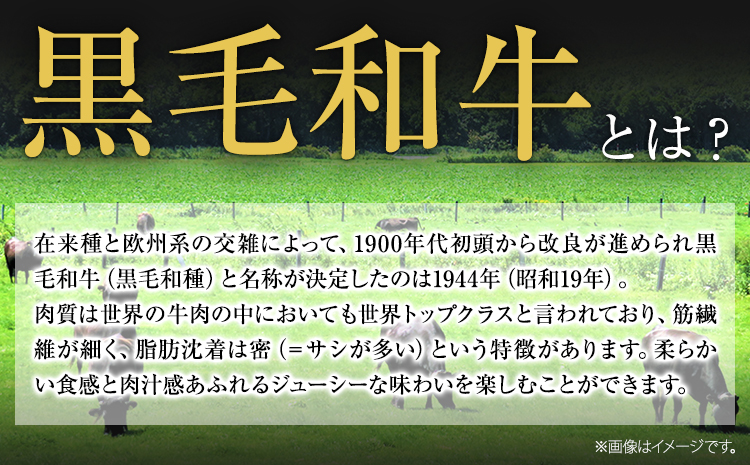 くまもと黒毛和牛 リブロースステーキ 内容量 1000g 牛肉 冷凍 《30日以内に出荷予定(土日祝除く)》 くまもと黒毛和牛 黒毛和牛 冷凍庫 個別 取分け 小分け 個包装 ステーキ肉 にも リブロースステーキ