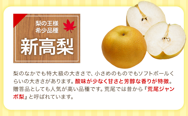 熊本県氷川町産 鋤先梨農園の梨 約5kg 鋤先梨農園 《8月下旬-10月中旬頃出荷》 熊本県 氷川町 あきづき 甘太 新高 新興 旬