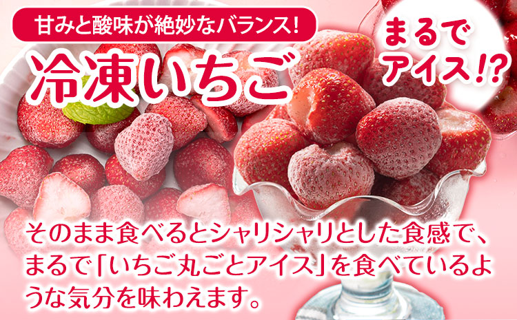 冷凍いちご 約1kg みやざき農園《30日以内に出荷予定(土日祝除く)》熊本県 氷川町 いちご イチゴ ひのしずく 国産 冷凍いちご フルーツ ストロベリー 冷凍 お菓子作り 送料無料