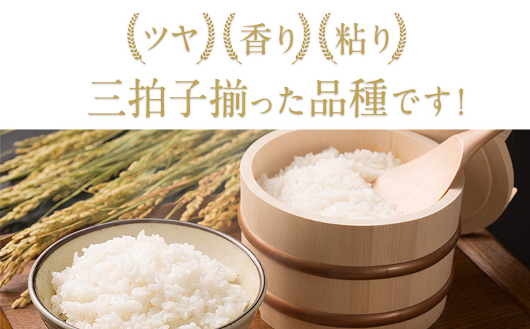 令和6年産 新米 早期先行予約受付中 ひのひかり 白米 15kg 《11月‐12月より出荷予定》 熊本県産 白米 精米 氷川町 ひの 送料無料 ヒノヒカリ コメ 便利 ブランド米 お米 おこめ 熊本 SDGs