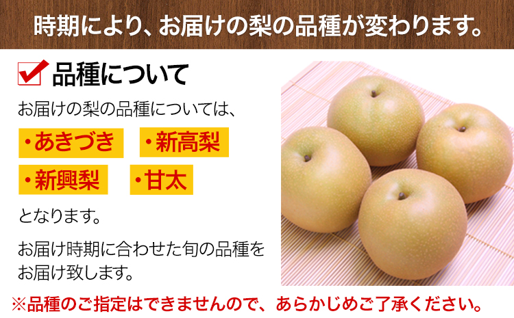 熊本県氷川町産 鋤先梨農園の梨 約5kg 鋤先梨農園 《8月下旬-10月中旬頃出荷》 熊本県 氷川町 あきづき 甘太 新高 新興 旬