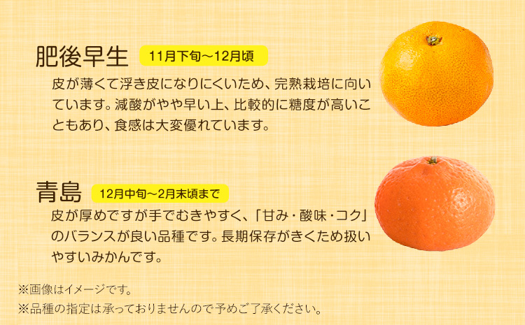 山本果樹園の旬のみかん 10kg 山本果樹園《９月中旬-2月末頃出荷予定》蜜柑 柑橘 ひのあかり 日南 豊福　肥後早生 青島 旬の品種をお届け！フルーツ 果物