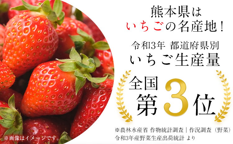 【3ヶ月定期便】先行予約 いちご 苺 ゆうべに 約1500g  約250g×6パック 定期便 熊本 いちご 苺 イチゴ 熊本県 氷川町 ゆうべに いちご《1月中旬-3月末頃出荷》熊本県 氷川町 果物 フルーツ 先行 予約 アフター保証 ふるさと納税 いちご おすすめ