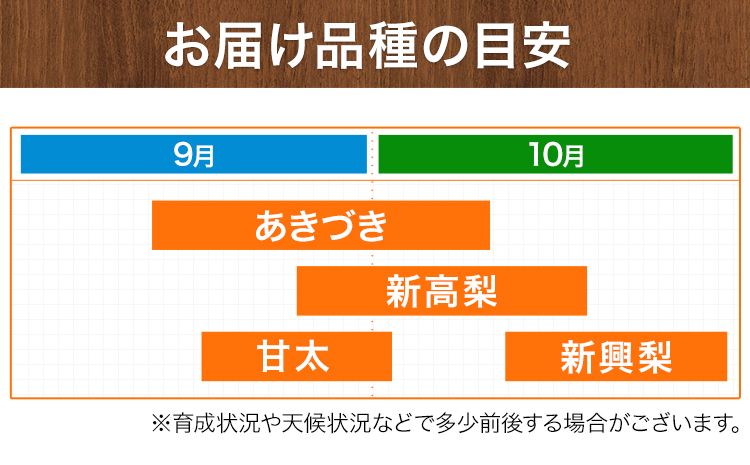 熊本県氷川町産 鋤先梨農園の梨 約5kg 鋤先梨農園 《8月下旬-10月中旬頃出荷》 熊本県 氷川町 あきづき 甘太 新高 新興 旬