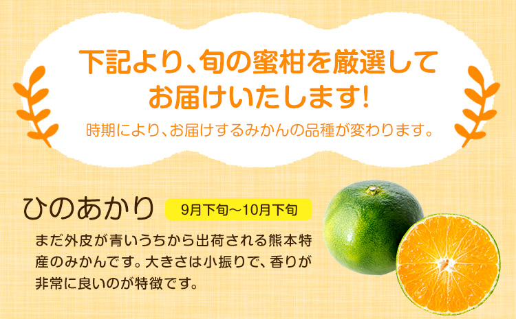 山本果樹園の旬のみかん 10kg 山本果樹園《９月中旬-2月末頃出荷予定》蜜柑 柑橘 ひのあかり 日南 豊福　肥後早生 青島 旬の品種をお届け！フルーツ 果物