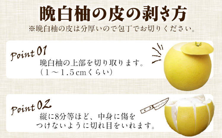 森田果樹園の晩白柚 2玉 森田果樹園《11月下旬-2月末頃出荷予定》果物 フルーツ サボン 熊本