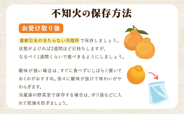 森田果樹園の不知火 5kg《2月中旬-4月下旬頃出荷予定》森田果樹園 果物 フルーツ 柑橘 熊本