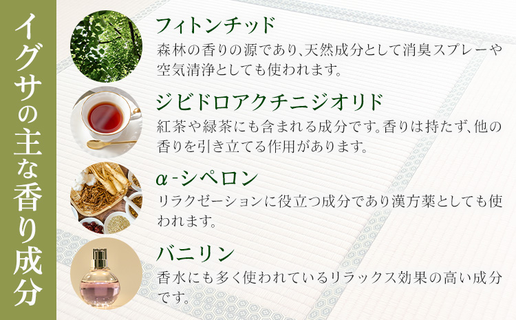 イグサアロマリードディフューザー 100ml《60日以内に出荷予定(土日祝除く)》熊本県 氷川町 アロマギフト い草 アロマ 植物 畳 リラクゼーション リラックス 芳香蒸留水 フィトンチッド ジビドロアクチニジオリド バニリン a-シペロン